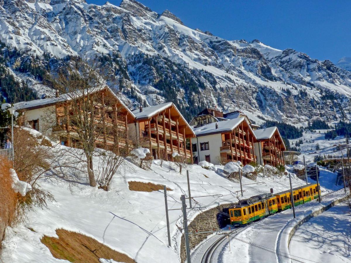 Apartment Primula By Interhome Wengen Dış mekan fotoğraf