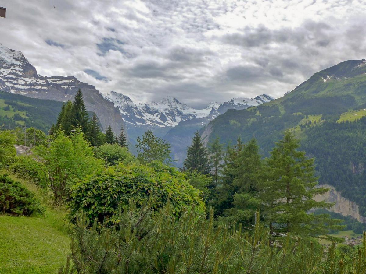 Apartment Primula By Interhome Wengen Dış mekan fotoğraf