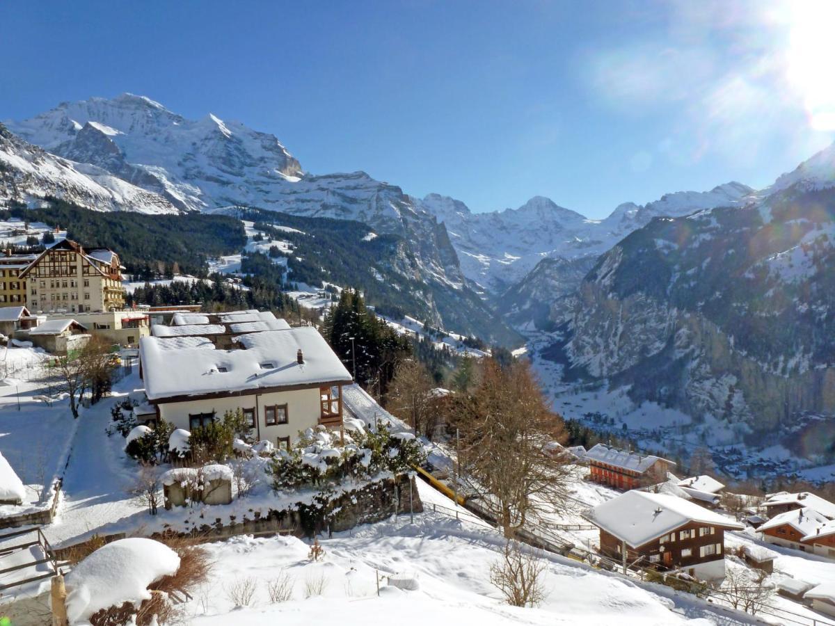 Apartment Primula By Interhome Wengen Dış mekan fotoğraf