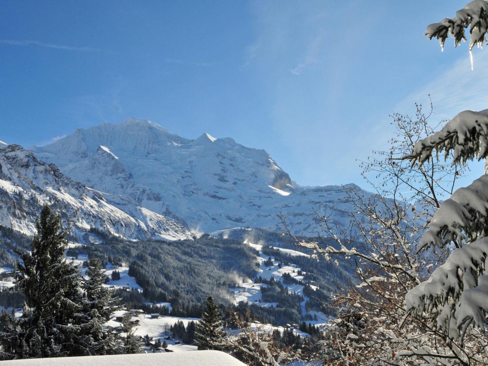 Apartment Primula By Interhome Wengen Dış mekan fotoğraf